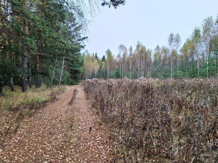 Участок 2,4 га (СНТ, ДНП)