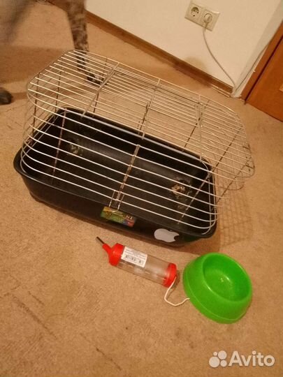 Клетка для морской свинки