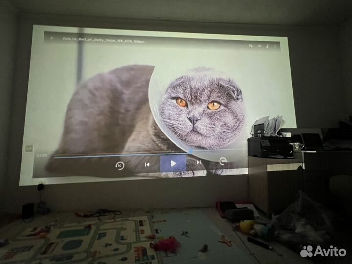 Аренда проектора и экрана