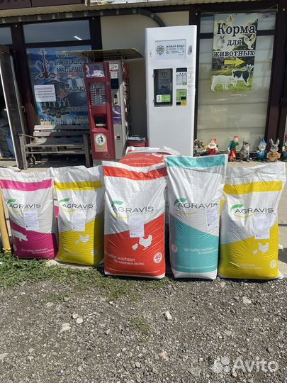 Корма Агравис