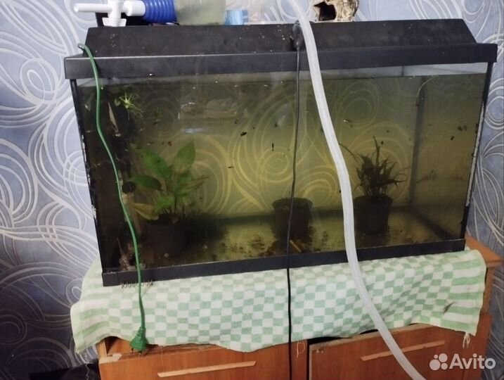 Аквариум