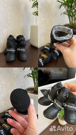 Одежда и обувь на маленькую собачку, разное