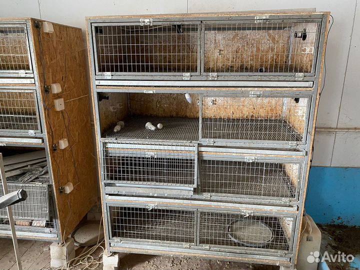 Брудер для цыплят самодельный б/у