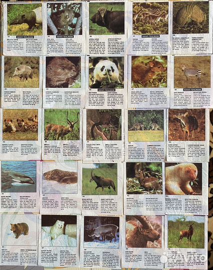 Вкладыши 90е minti Cin Cin другие