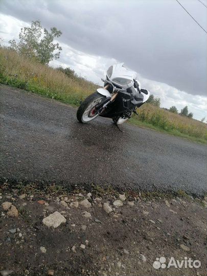 Falcon SpeedFire 250
