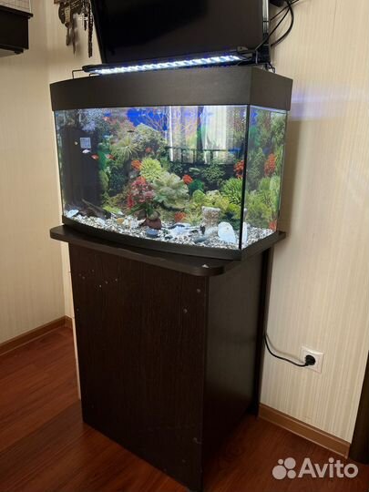 Аквариум полный комплект с рыбками