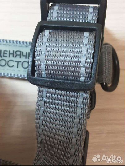 Шлейка для собаки