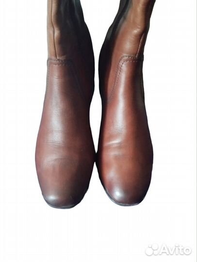 Сапоги женские демисезонные Caprice