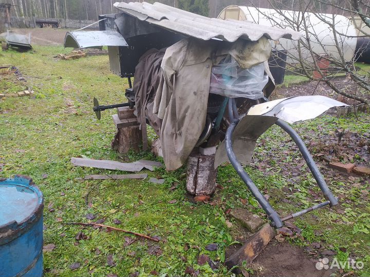 Каракат болотохот кишкотряс