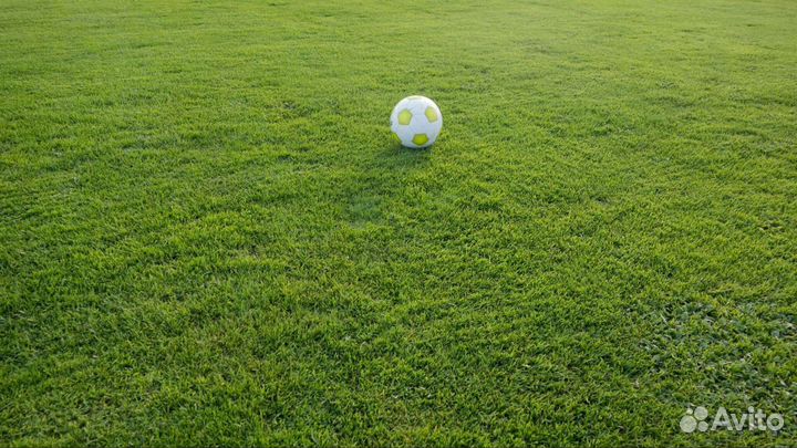 Футбольный газон искусственный