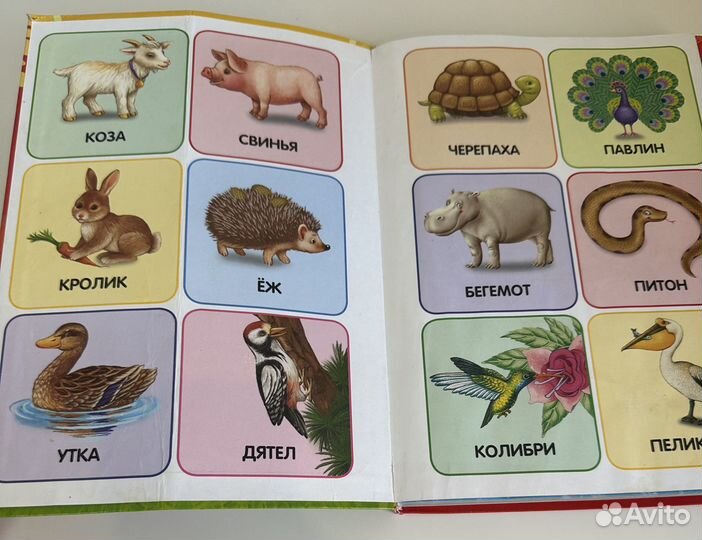 Годовой Курс занятий для детей 1-2лет