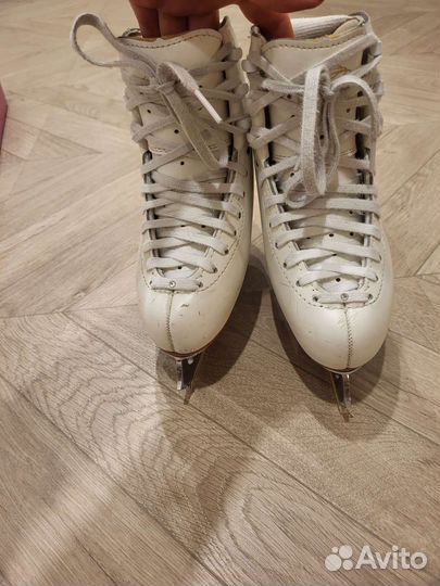 Фигурные Коньки edea overture 195