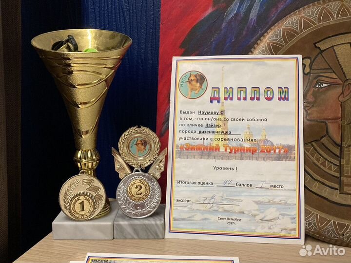 Кинолог. Дрессировка. Собаководство. Передержка