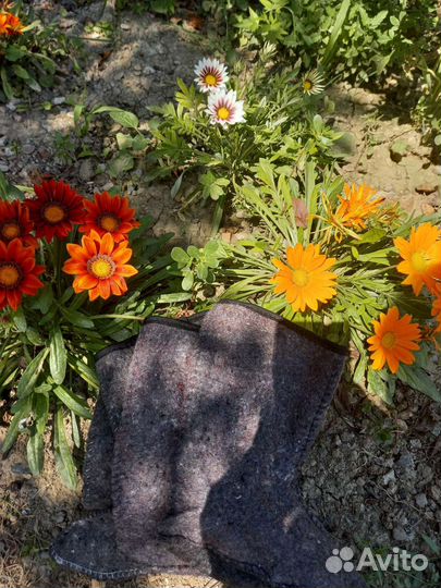 Резиновые сапоги 32 и 35р