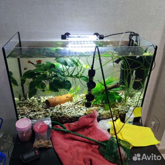 Аквариум полный комплект