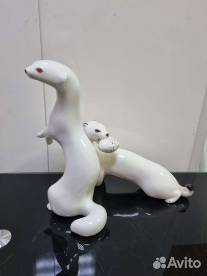 Ласка горностай лфз, ифз