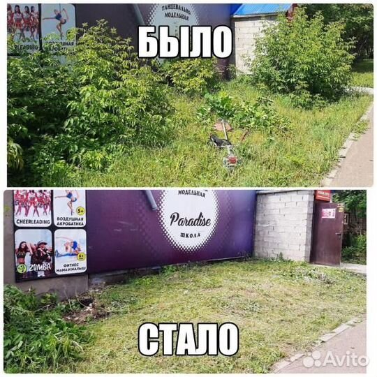 Покос травы