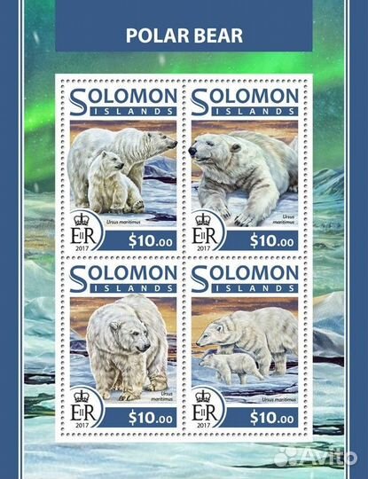 Соломоновы о-ва, 2017. (slm17219) Фауна, полярные