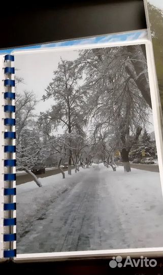 Принтер Epson l810