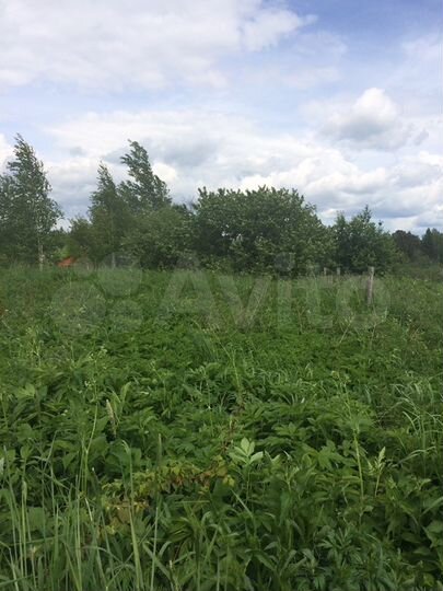 Участок 8 сот. (ИЖС)