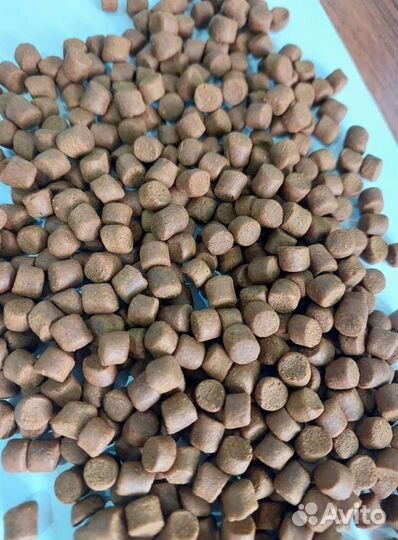 Корм для форели