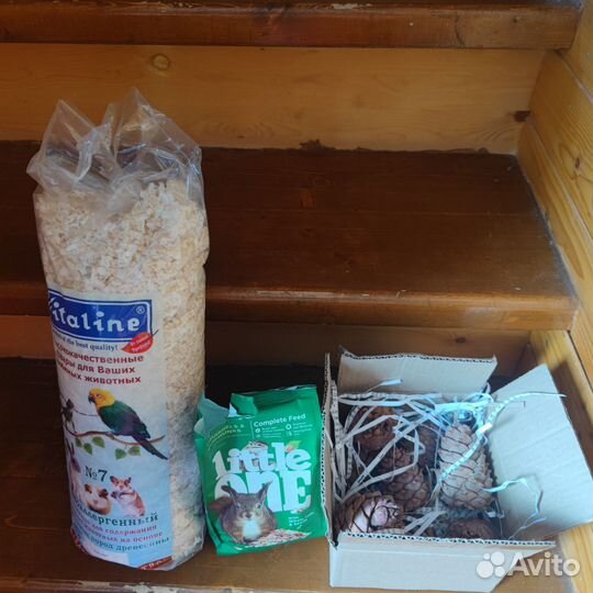 Кедровые шишки