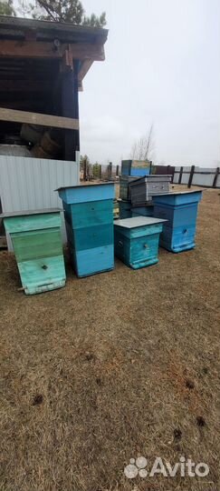 Улей для пчел бу