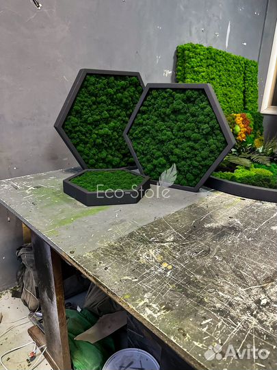 Полки соты со мхом 35 см