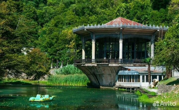 Экскурсия на Мерседесе в Абхазию