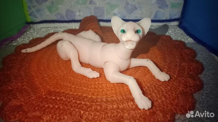 Бжд сфинкс, французский бульдог, ориентал кот