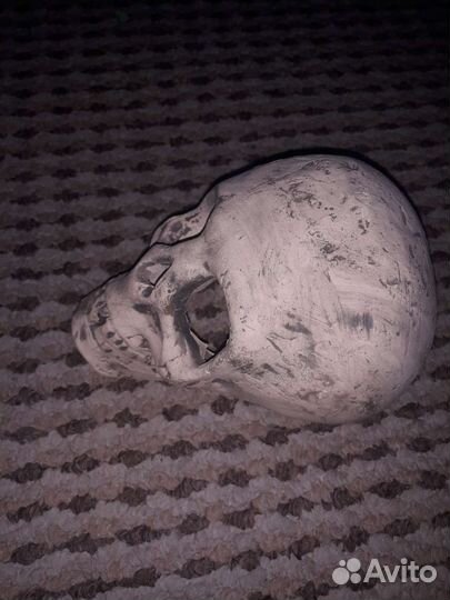 Череп для ритуалов, вуду