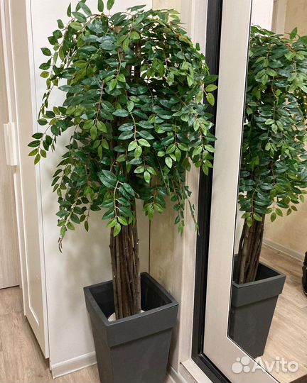 Дерево глицинии искусственное