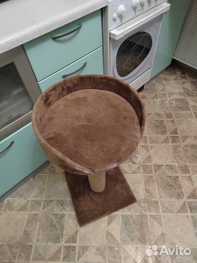 Когтеточка