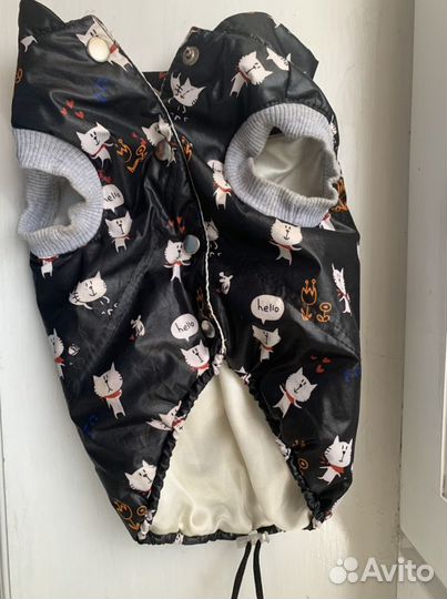 Одежда для маленьких собак