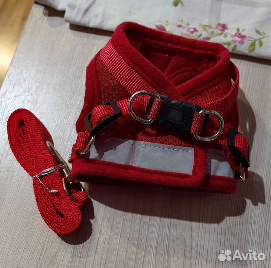 Домашние животные