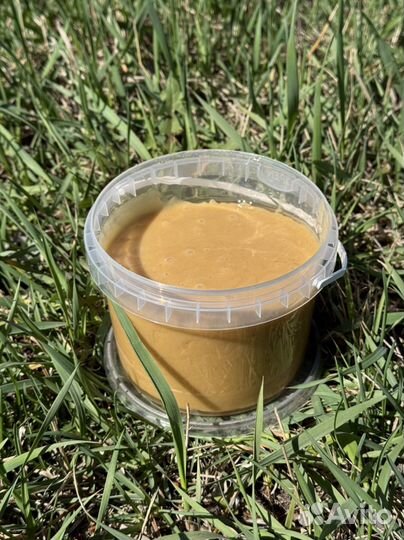 Оптом мед свежий 2024 с Алтая