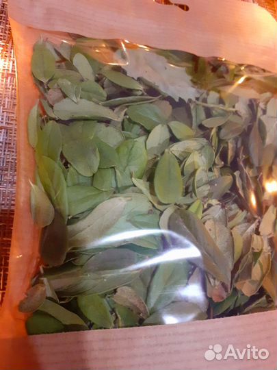 Листья брусники/Зверобой