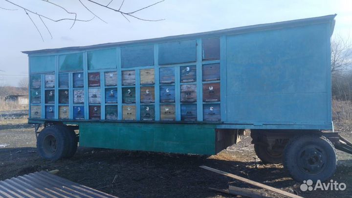 Пчелопавильон