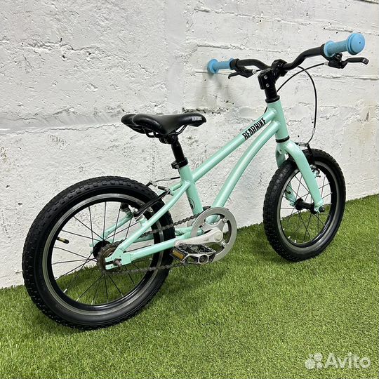 Bear bike kitiez 16