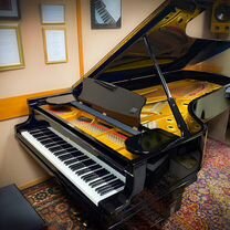 Steinway & Sons D-274 большой концертный рояль