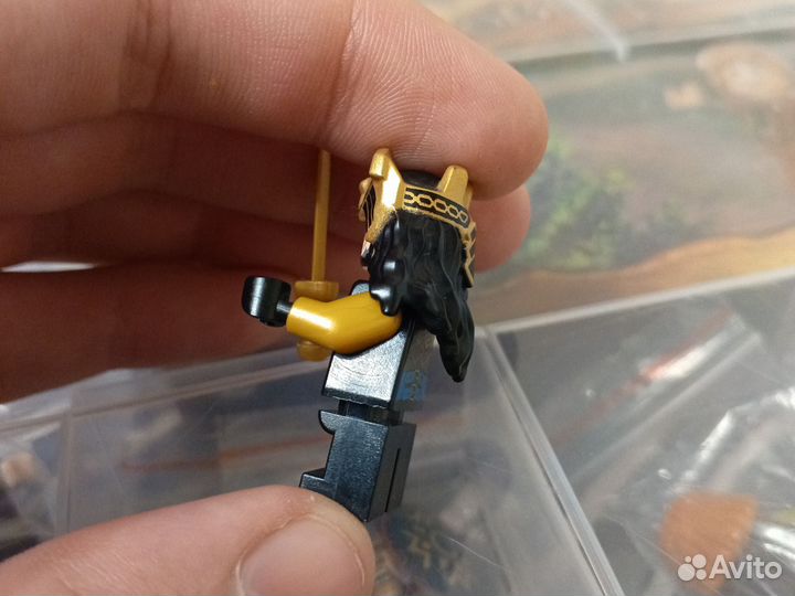 Лего Торин Дубощит