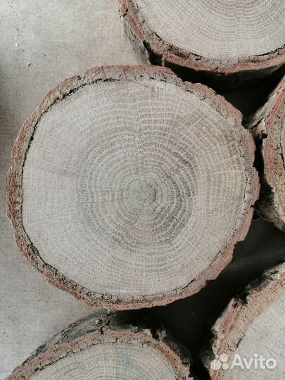 Для творчества - заготовки круглые из дерева