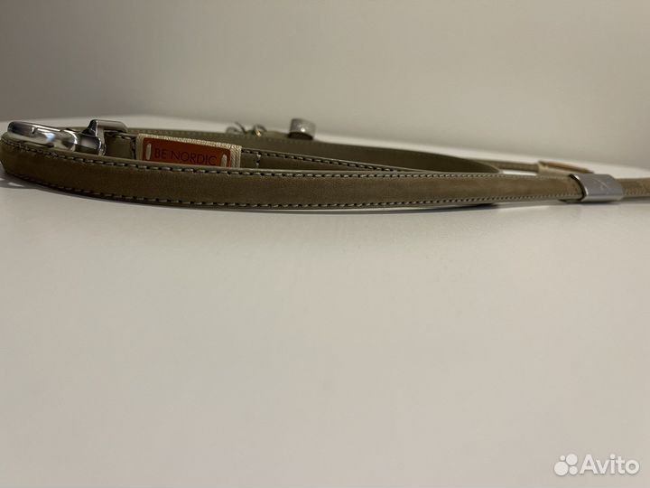 Ошейник и поводок для животного