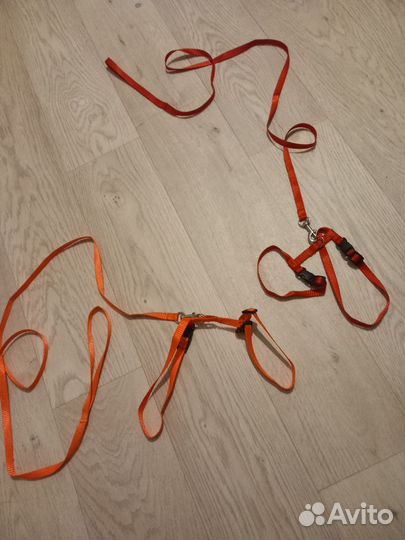 Поводок для щенков и кошек