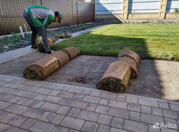 Рулонный газон с доставкой