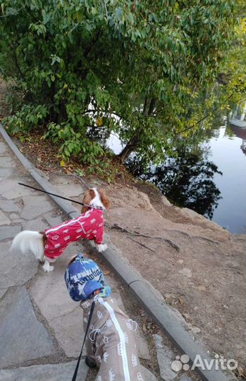 Пыльники из гладкого хлопка