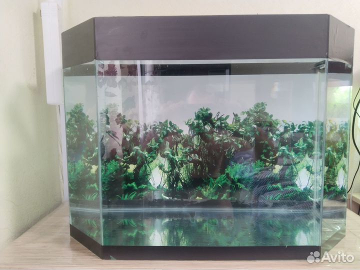 Аквариум