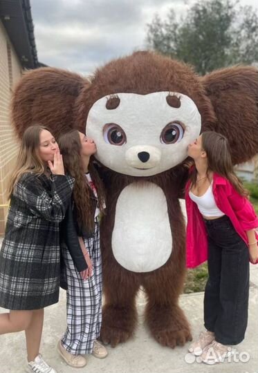 Белый мишка, Чебурашка,Заяц поздравление,Панда