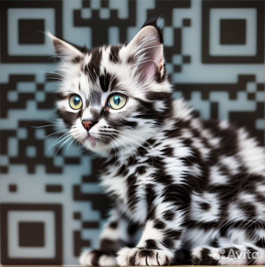Создание креативных QR-кодов