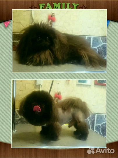 Стрижка и триминг собак